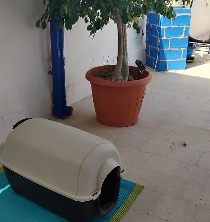 La Casa Di Chico Монделло